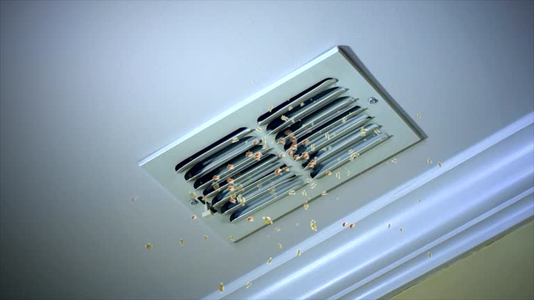 Affordable HVAC Duct Cleaning in Laguna Heights, TX