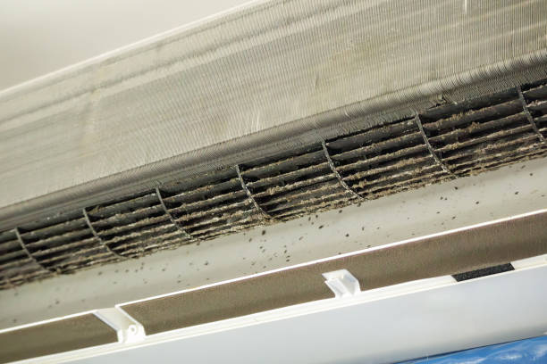 Best Air Duct Cleaning Near Me  in Laguna Heights, TX